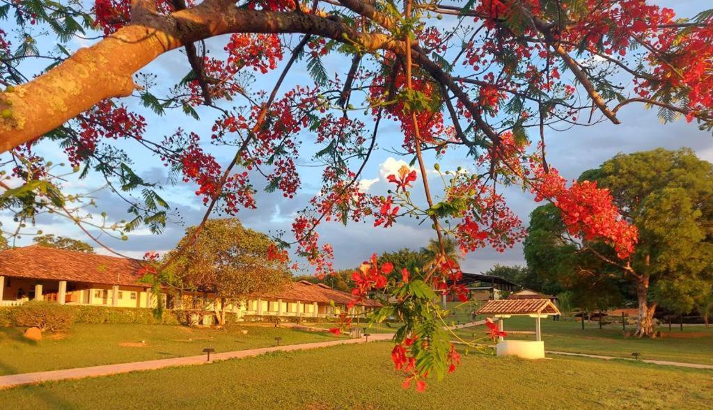 Sertao Veredas Hotel Fazenda Paraopeba Eksteriør billede